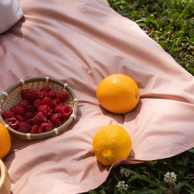 a picnic blanket with some fruits on it. 